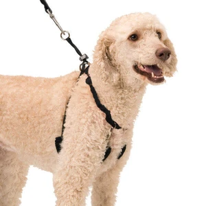 Sporn Training Halter