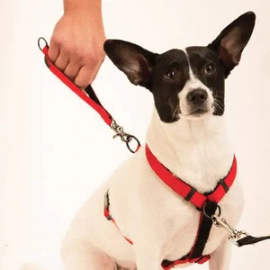 Sporn Ultimate Control Harness Black