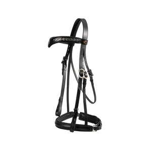 Jeremy and Lord "V" Dressage Bridle 