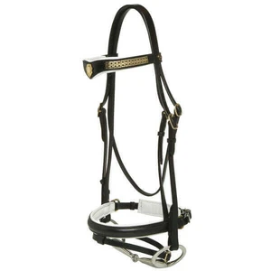 Jeremy and Lord Transition Bridle