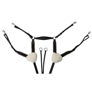 Jeremy and Lord 5 Point Breastplate  
