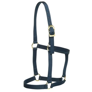 GG Australia Stable Halter Cob