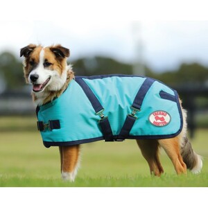 Thermo Master Supreme Dog Coat - Teal/ Navy