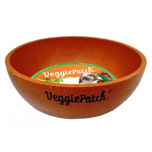 Veggie Patch Luna Dish - Orange