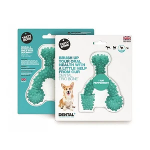 Tasty Bone Nylon Dental Trio Peppermint Small
