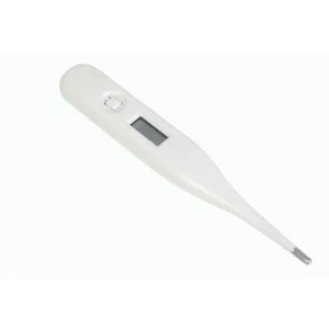 Digital Thermometer