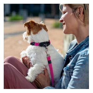 Rogz Control Collar Web 