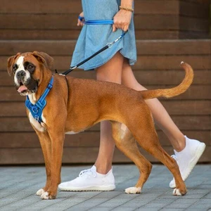 Rogz Stop Pull Harness Extra Large