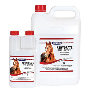 Vetsense Rehydrate for Horses