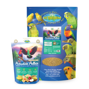 Vetafarm Paradise Pellets Paradise Pellets, Eclectus Parrot food, low iron bird pellets, frugivorous bird diet, Vetafarm bird food, Eclectus nutrition, bird pellets Australia, low iron diet parrots, exotic bird pellets, bird breeding diet, parrot pellets for breeding, natural bird