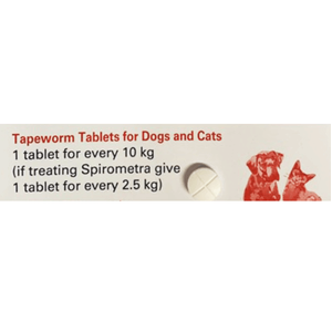 Tapewormer Single Tablet