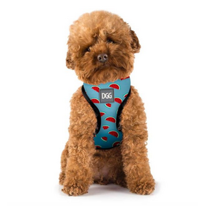 *CLEARANCE* DGG Easy Walker Harness One in a Melon Xsml