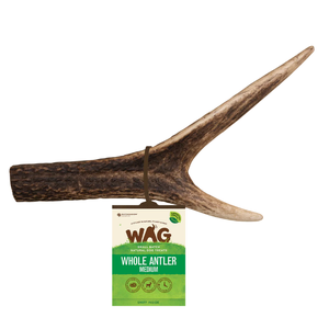 WAG Antler Dog Treat whole deer antlers, natural dog chew, sustainable dog treat, deer antler dog chew, long lasting dog chew, dental chew for dogs, eco friendly pet treat, rawhide alternative, New Zealand deer antlers, tartar control dog chew