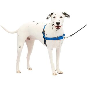 Gentle Leader Harness w/ Front Leash - Medium/ Large