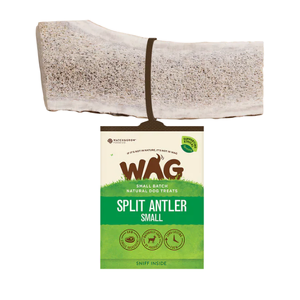 WAG Antler Split Dog Treat (Small) whole deer antlers, natural dog chew, sustainable dog treat, deer antler dog chew, long lasting dog chew, dental chew for dogs, eco friendly pet treat, rawhide alternative, New Zealand deer antlers, tartar control dog chew