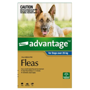 Advantage Spot-On for XLarge Dogs Over 25kg+ (Blue) Advantage for dogs, Advantage flea control, dog flea treatment, monthly flea treatment dogs, flea and lice spot-on, flea allergy dermatitis prevention, dog flea prevention, Advantage flea drops, fast acting flea treatment, waterproof flea treatment dogs
