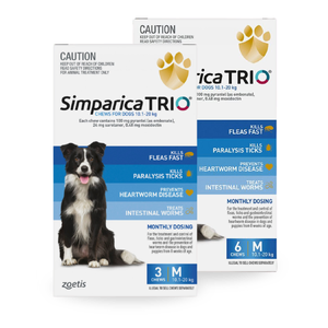 Simparica Trio for Medium Dogs 10.1 - 20kg Blue Simparica Trio Medium Dogs, Simparica Blue Pack, flea and tick treatment for dogs, dog worming chew, heartworm prevention for dogs, all-in-one parasite treatment, Simparica for 10-20kg dogs, best flea treatment for medium dogs, monthly dog chew for parasi