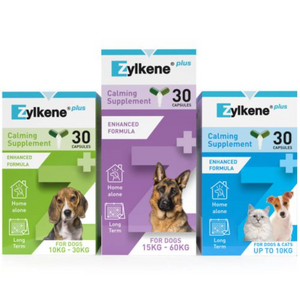 Zylkene Plus 