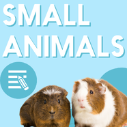 Small Animals