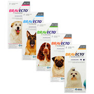 Bravecto Flea and Tick control for dogs