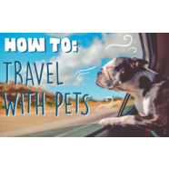 How to travel with your pets!