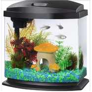 Setting up your new fish tank