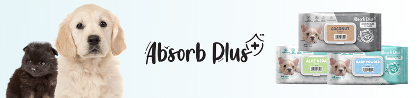Absorb Plus