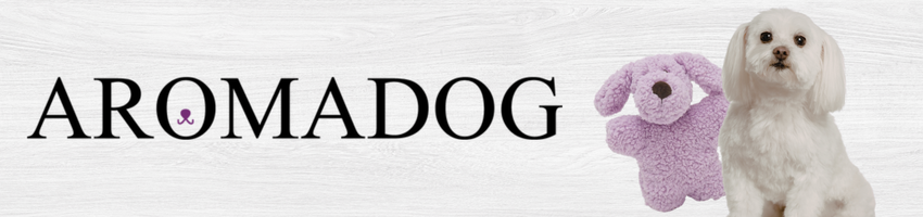 Aroma Dog