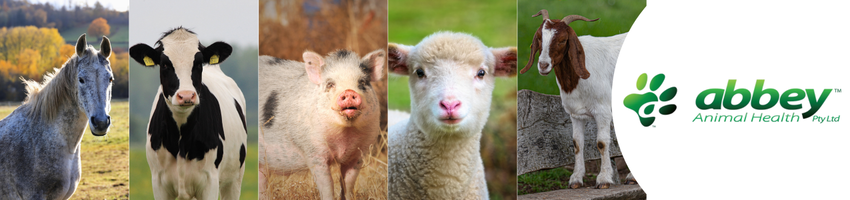 Abbey Animal Health