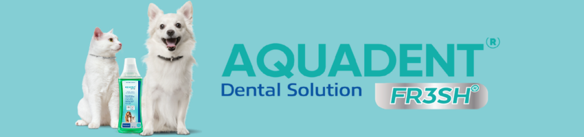 Aquadent