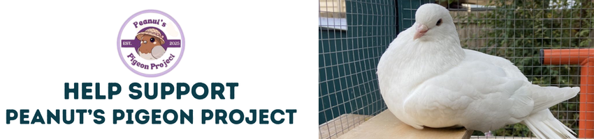 Peanut’s Pigeon Project Wishlist
