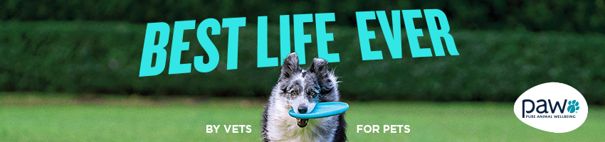 PAW | Pure Animal Wellbeing