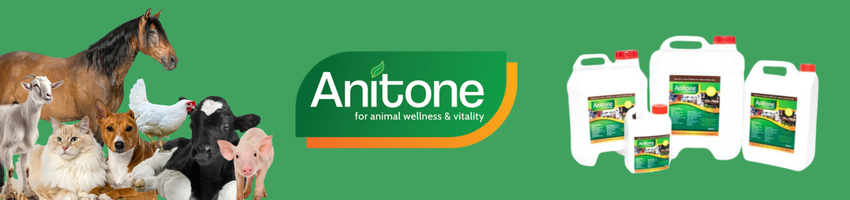 Anitone