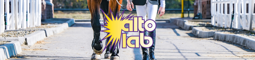 Alto Lab