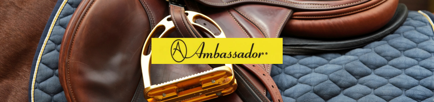 Ambassador