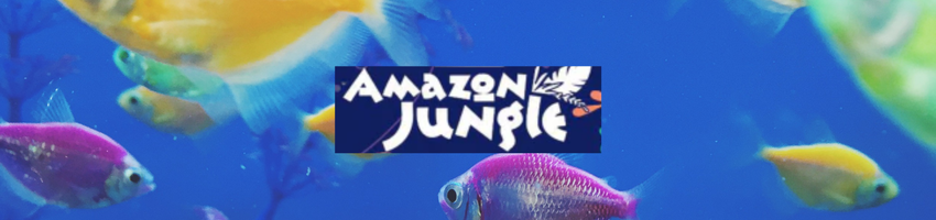 Amazon Jungle