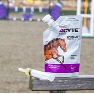 What is 4Cyte for horses & how does it work?