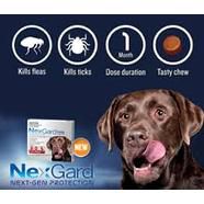 Nexgard - Flea and tick control how it works and its advantages
