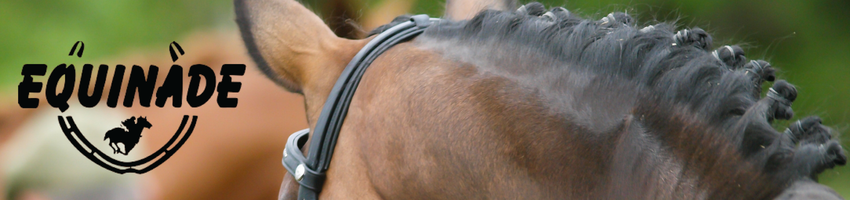 Equinade